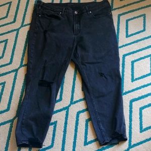 Silver Jeans Destructed Avery Skinny Crop